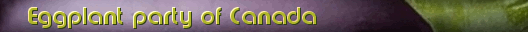 Eggplantbanner.png