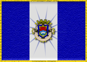 tnpnewflag2.jpg