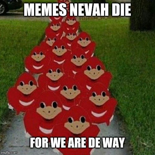 3dqv7g.jpg