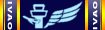 MSA4.gif